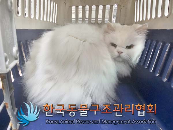 한국동물구조관리협회_441560202400173